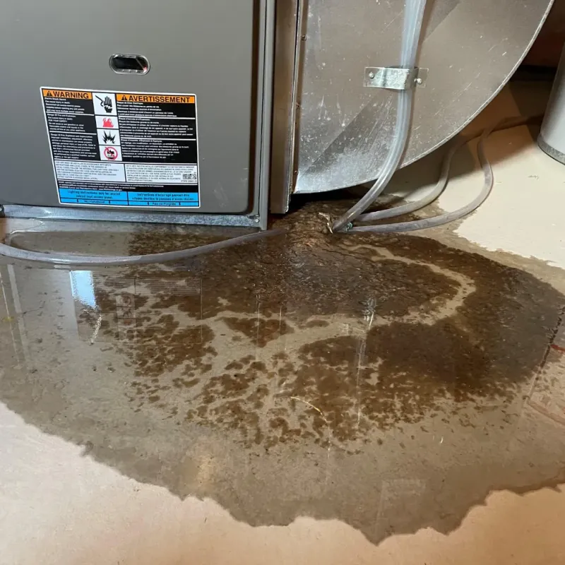 Appliance Leak Cleanup in Gibsonton, FL